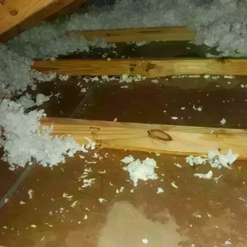 Attic Water Damage in Salcha, AK