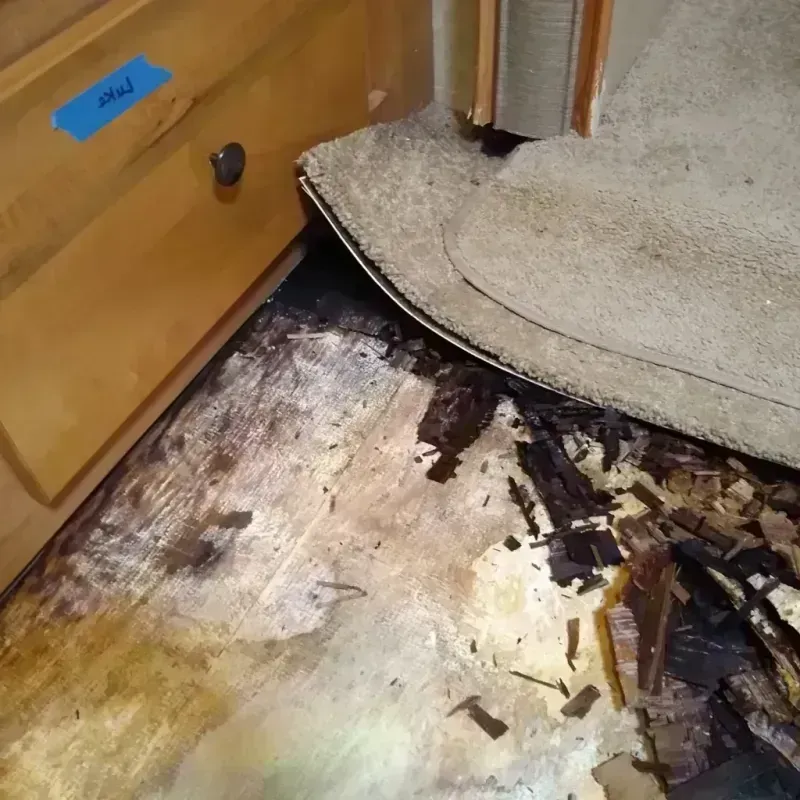 Best Wood Floor Water Damage Service in Salcha, AK